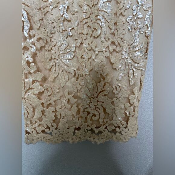 TADASHI Shoji Primrose Embroidered Lace Sheath Cocktail Dress Ivory Nude Size 4 - Picture 10 of 10